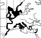 Trisopterus minutus_mapa